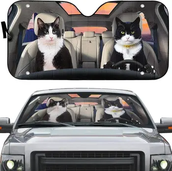 חתול טוקסידו חיות חמודות OnWheels העיר הראייה יד שמאל כונן המכונית שמשיה, חתול טוקסידו כמה נוהגים בשקיעה אוטומטי, שמש, צל, Wi